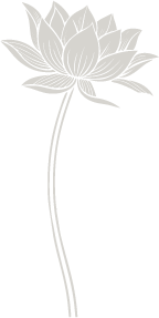 Asset 3